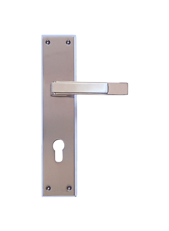 Fixer Mortise Door Handle – Stainless Steel Finish, 10-Inch Lever - Image 1